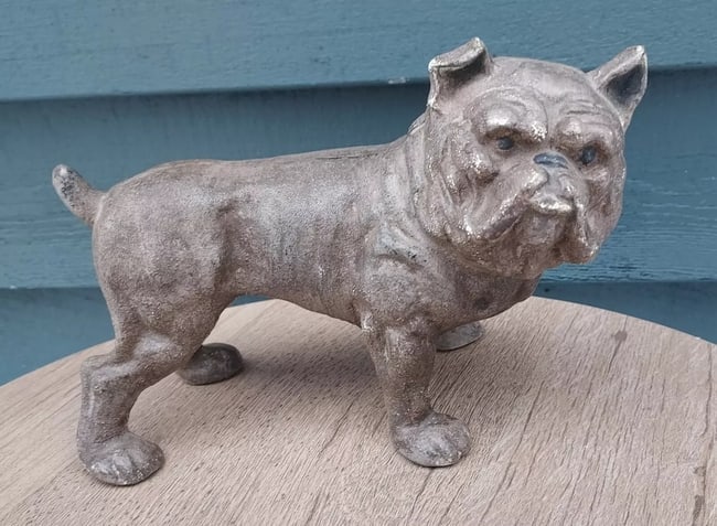 1950 Cast Iron American Bulldog Still Bank: Great looking piece in excellent condition. Great detail to face. Cast iron bank. Not sure of exact age. Measures approximately 8" long and 6" tall. Weighs 5 pounds Shipping costs include insurance. S