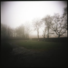Edition 1/10 - Fog