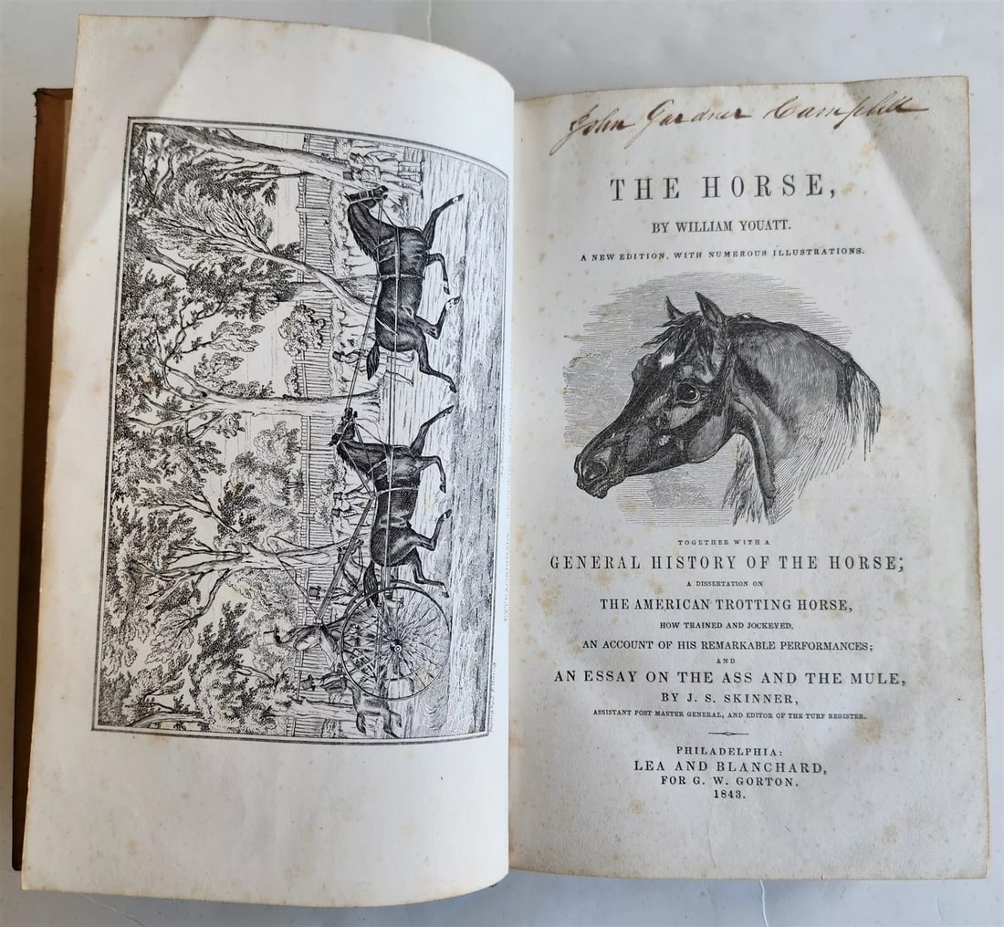 1843 THE HORSE by WILLIAM YOUATT antique ILLUSTRATED: THE HORSE by WILLIAM YOUATT Philadelphia; 1843 Size 6 by 9.5" 448 pp. plus publisher's advertising Illustrated in b/w Text in English Original leather , some foxing, minor wear of the binding Reserve: