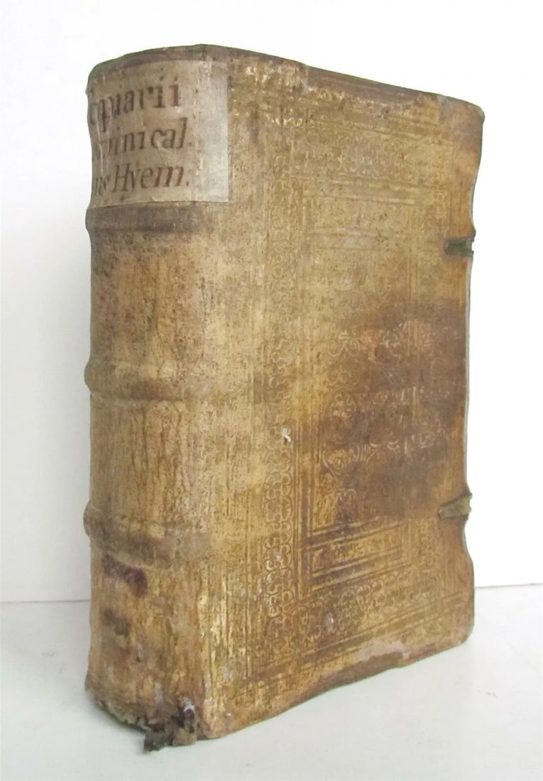 1574 CONCIONES IN EVANGELIA ET EPISTOLAS antique PIGSKIN BINDING 16th CENTURY (1 of 6)