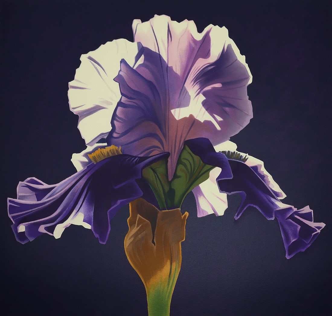 Ed Mell: Morning Iris: Artist: Ed Mell Title: Morning Iris Medium: lithograph Dimensions: H 28x26 Series: Ed of 200 Edition: A/P Reserve: $800.00 Shipping: Domestic: Free shipping to anywhere within the contiguous U.S. I