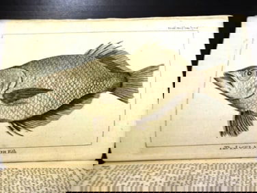 1768 Gentlemans Magazine Engravings Jaculator