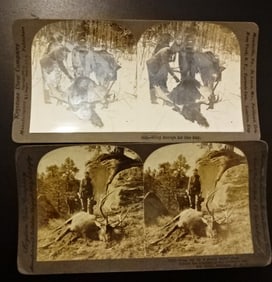 Four Stereoview Photocards Hunting
