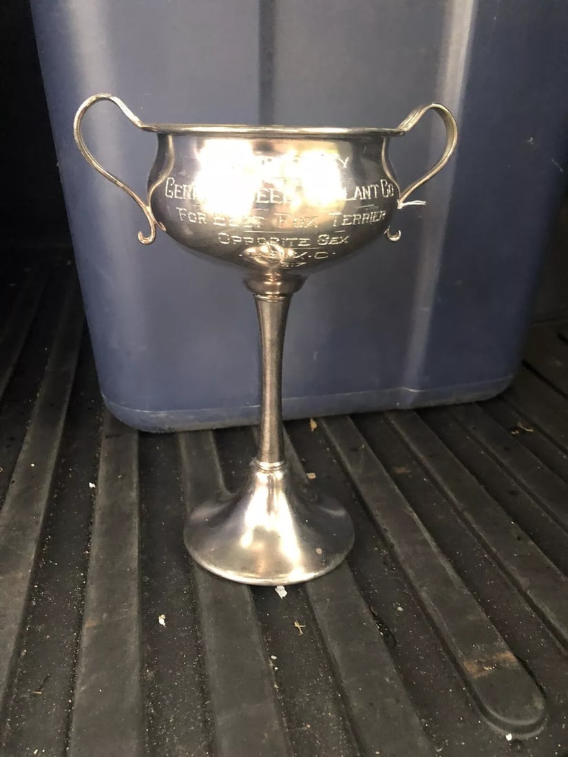1917 8 1/4” bskc Best Terrier Loving Cup Trophy: It measures 8 1/4” x 6” and is dated 1917. It has wear as shown in the photos Shipping: Domestic: Flat-rate of $15.00 to anywhere within the contiguous U.S. International: Foreign shipping