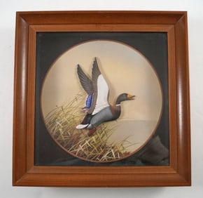 Mallard Drake Duck Diorama by J.Q. Whipple #3