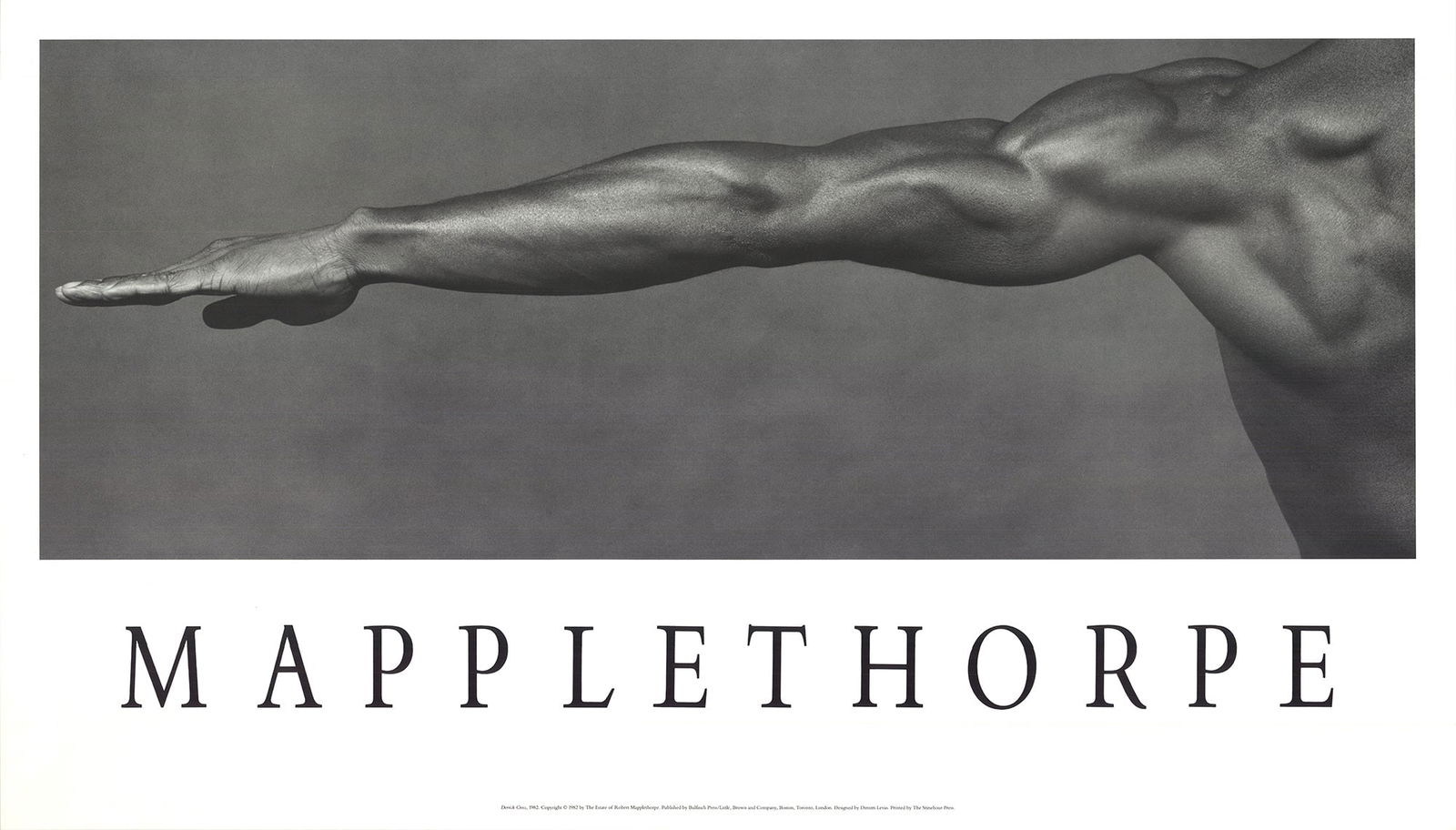 Robert Mapplethorpe - Derrick Cross - 1982 Offset Lithograph 20.5" x 36" (1 of 4)