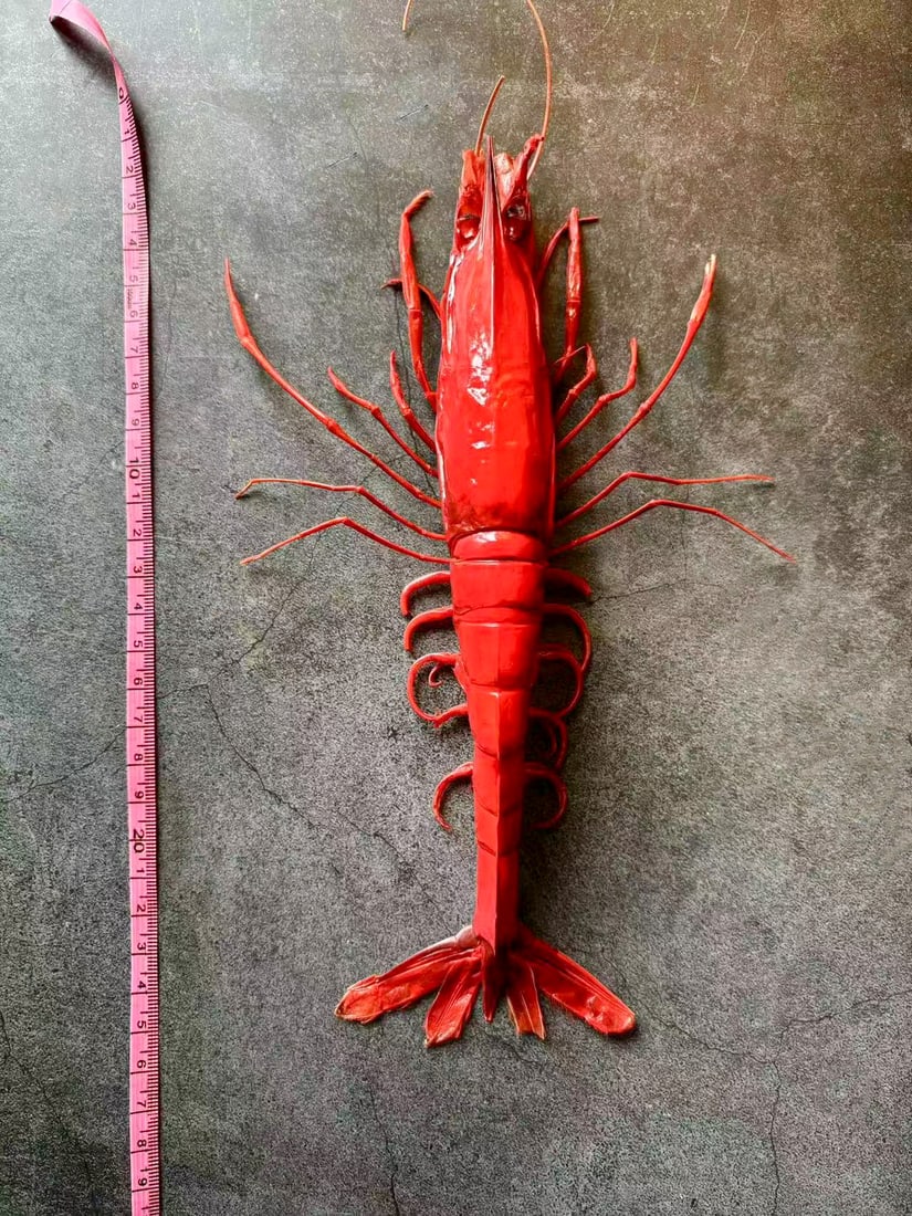 Repainted Carabineros Prawn XXL: Title: Repainted Carabineros Prawn XXL Description: Our crustacean taxidermies are preserved by experienced taxidermists, all meat and organs are 99% cleared with membranes, bone or skin structures re