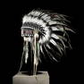 Beautiful Indian Headdress on a custom stand