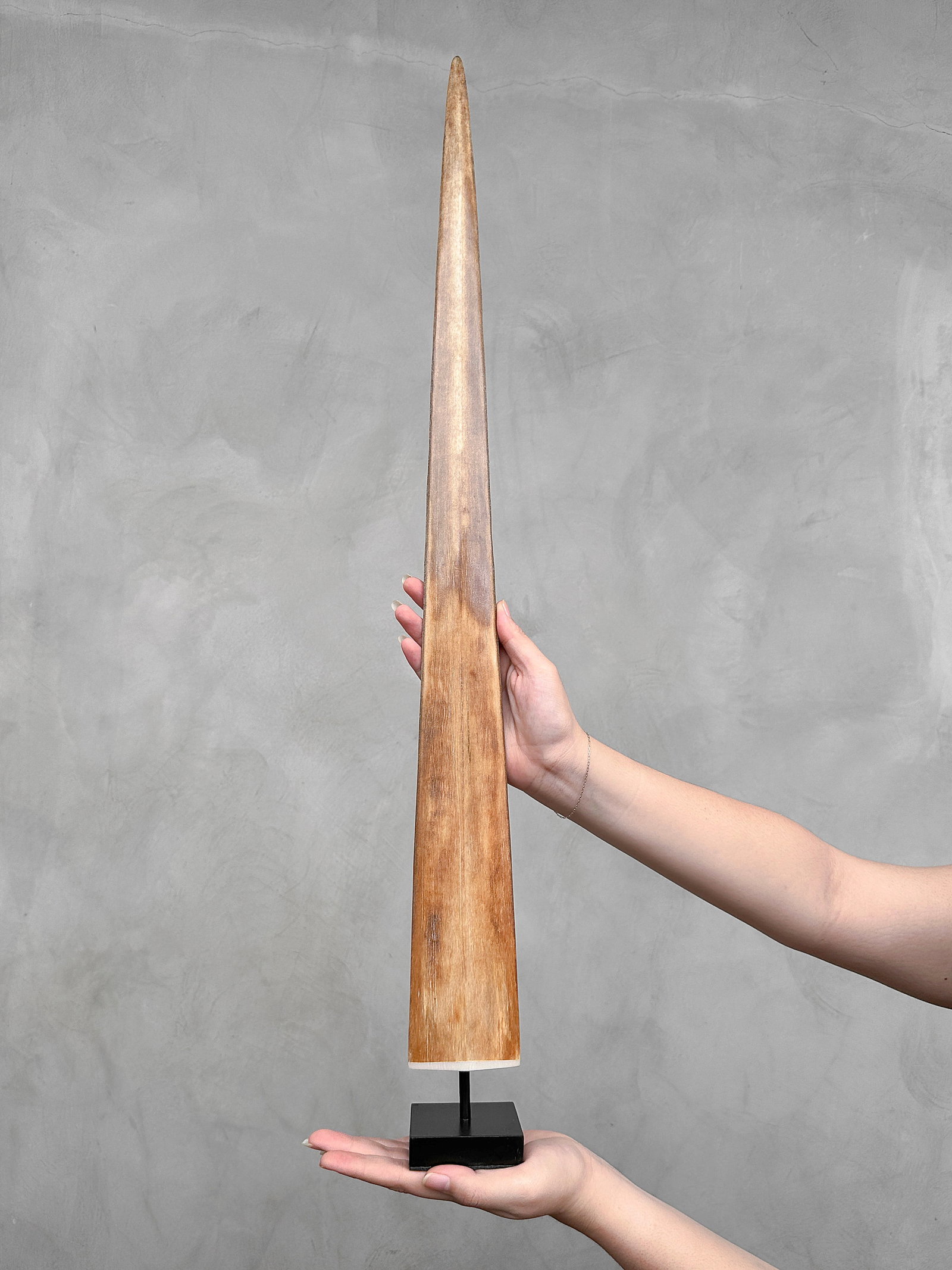 Large swordfish tusk with stand: Title: Large swordfish tusk with stand Maker:Unknown Origin: Indonesia Date/Period:2024 Materials:Xiphius Gladius, Bone, Steel Dimensions:Height including stand: 80 cm / 31.4 inches Description:Large 