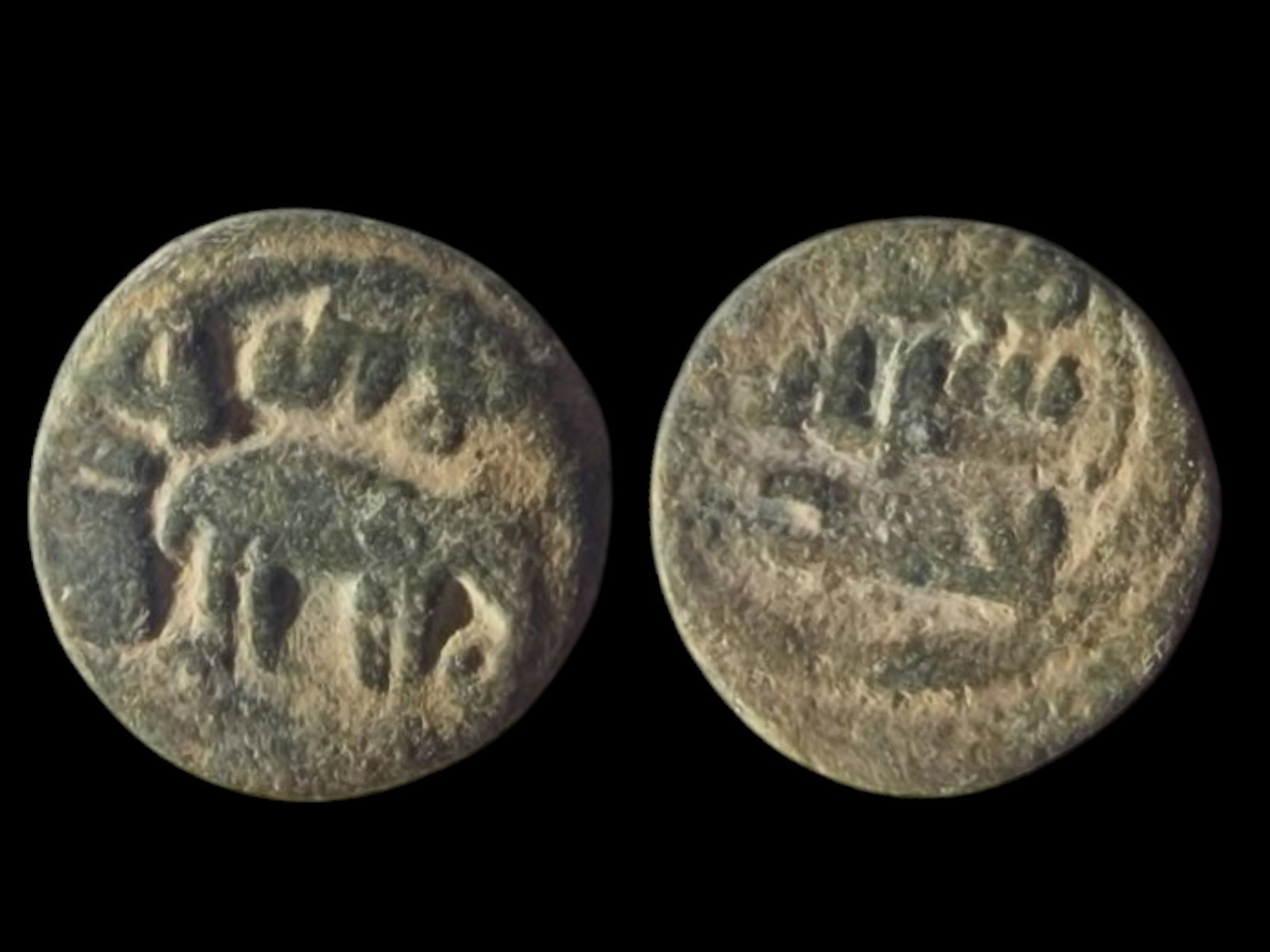 Seljuk Bronze Fals with Elephant and Islamic Inscription – Rare and Historically Significant: This rare Seljuk-era bronze fals features a distinctive design, showcasing an elephant on the obverse, a highly symbolic motif in Islamic and regional art. Above the elephant, the Islamic creed (Shaha