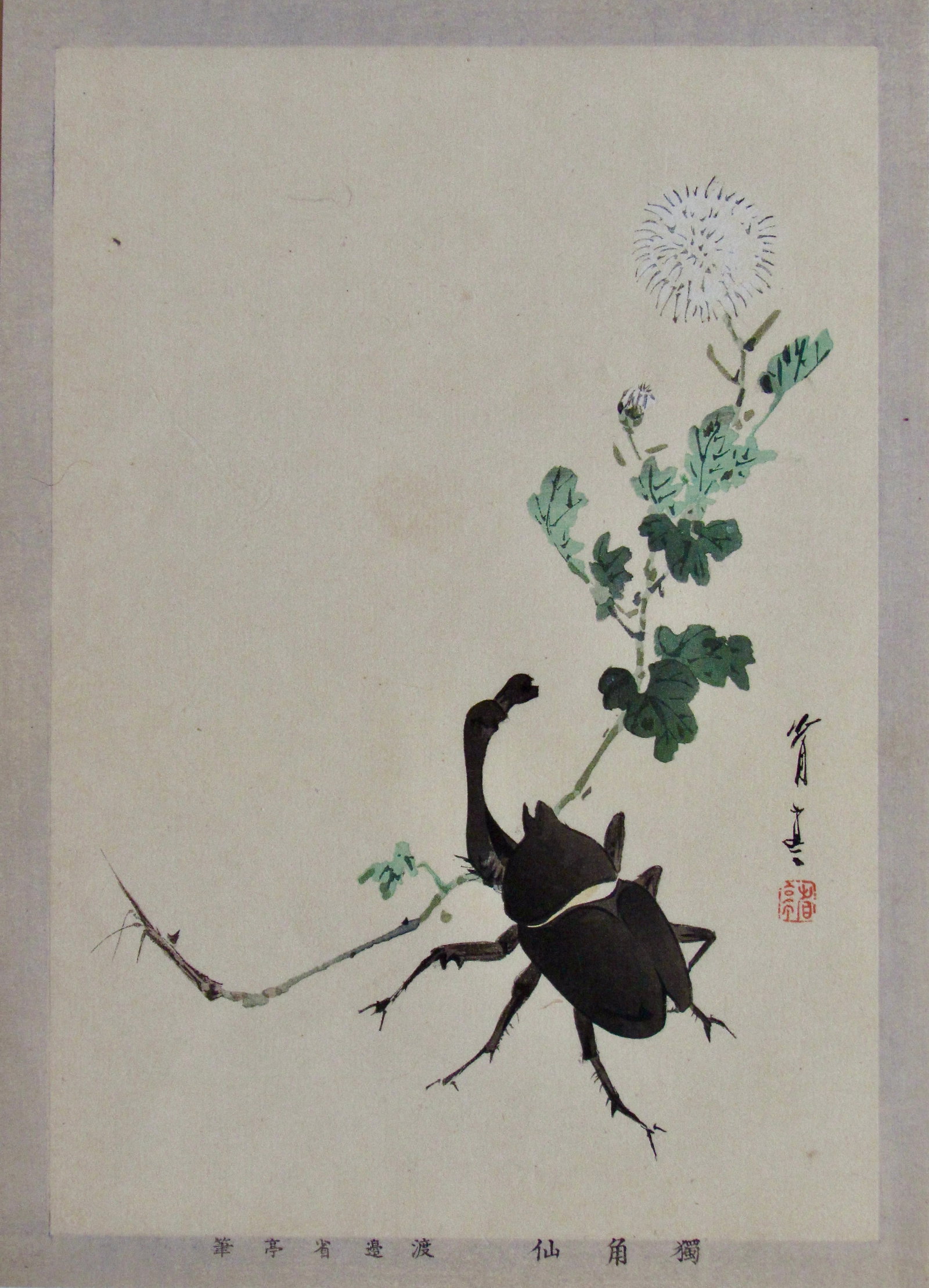 Seitei: Beetle and Mum: Artist: Watanabe SEITEI (1851-1918) Subject: Beatle and Mum Signature: Seitei Date: c. 1910 Format: chûban, 16.5 x 23 cm Condition: Fine impression, color and condition Reserve: $100.00 Shipping: