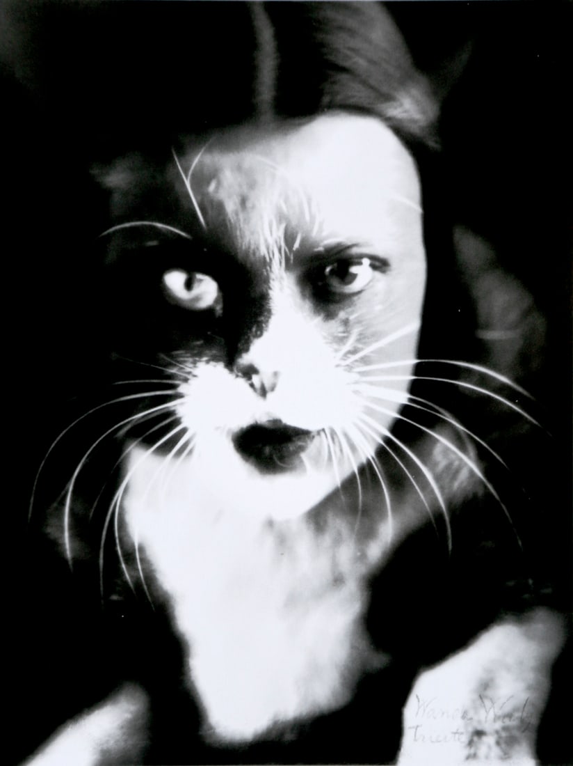 Wanda Wulz: I plus cat, 1932: Artist: Wanda Wulz Title: I plus cat, 1932 Date: 2008 Medium: High Quality Photo Print with Copyright Wanda Wulz/ Archivi Alinari Printer Location: Printed in Italy - Collector's Edition by Corriere d