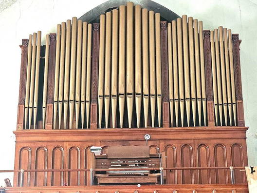Organs
