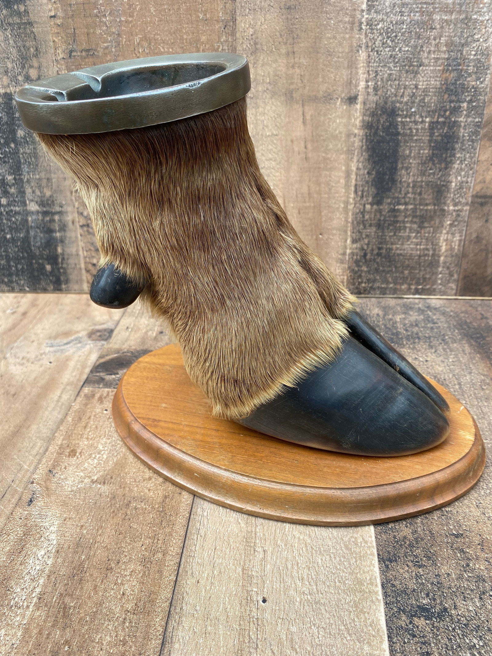 Vintage Taxidermy Elk Foot Ash Tray on Wooden Base: Vintage from before 2000 Materials: wood, metal, elk foot, hair Vintage Taxidermy Elk Foot Ash Tray on Wooden Base Featuring vintage taxidermy elk hoof ashtray on wooden base. Perfect for your private