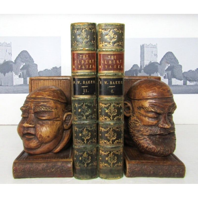 The Albert N'yanza - Two volumes (1 of 11)