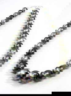12-15mm Oval/Drop-Circle Light to Medium Multi Tahitian Pearl Necklace Strand: Title: 12-15mm Oval/Drop-Circle Light to Medium Multi Tahitian Pearl Necklace Strand Description: AA-Grade High luster Light to Medium Multi-Color Oval/Drop, with minimal spots/blemishes, 31 pearl pie