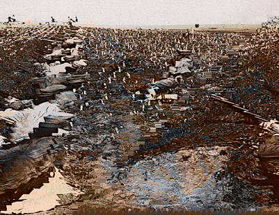 JAPANESE CROSSING FIELD TO FRONT-PORT ARTHUR: Title: JAPANESE CROSSING FIELD TO FRONT-PORT ARTHUR Artist/Source: UNDERWOOD & UNDERWOOD Original Date: EXACT YEAR UNKNOWN Dimensions: 8X10 Description: || UNITED STATES SHIPPING ONLY! || This lot is