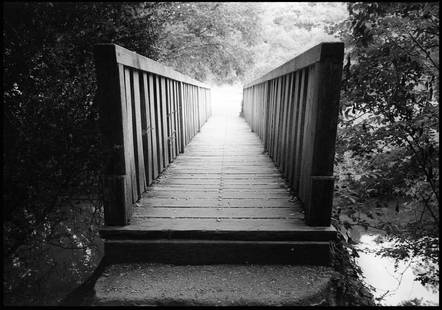 Edition of 10 - Bridge; 2017: Edition of 10 - Bridge, Saulges Canyon, France, Silver Gelatin Photograph Edition of 10 + 5 APs. Front: Signature and edition number with artists blind stamp. Back: Ink stamp and print details. Mounte