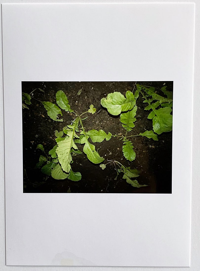 Louise Lawler: Weegee 2020 (1 of 3)