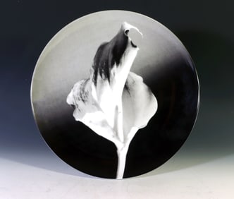 Robert Mapplethorpe Botanical Plate, Flower, 1986 Made By Swid Powell