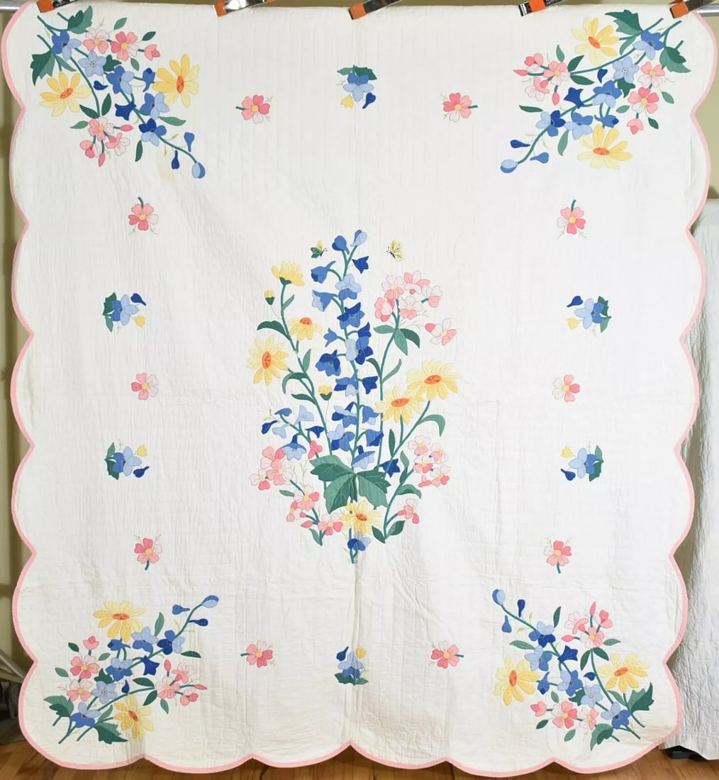 Unusual 30's Botanical Applique Quilt (1 of 12)