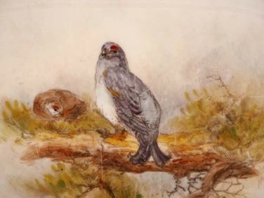 Royal Worcester SIGNED Dinner Plate Handpainted Game Birds Black Grouse Maybury