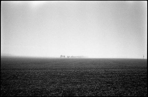 Edition of 10 -- Mickfield; 2013: Edition of 10 -- Mickfield, Eye, Suffolk, Silver Gelatin Photograph Edition of 10 + 5 APs. Front: Signature and edition number with artists blind stamp. Back: Ink stamp and print details. Mounted: 40