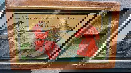 1904 Taber & Prang Art Commend a Wedded Life but Keep Thyself a Bachelor PICTURE