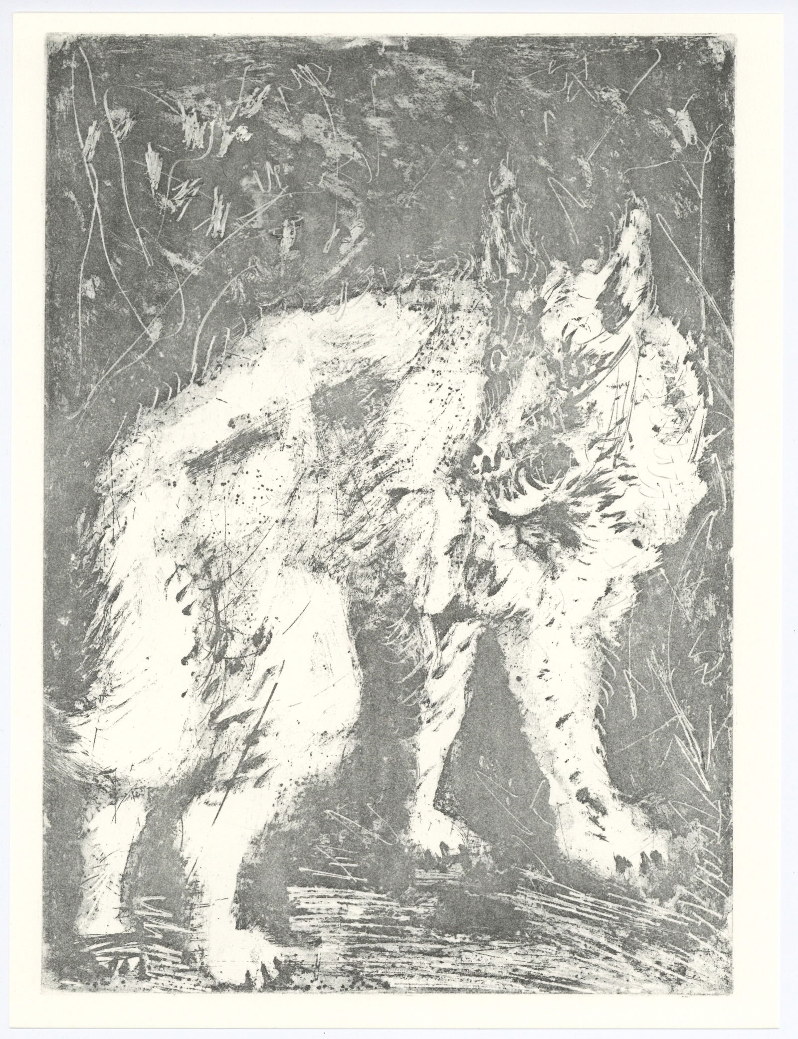 Pablo Picasso "Le Loup" The Wolf | Buffon (1 of 1)