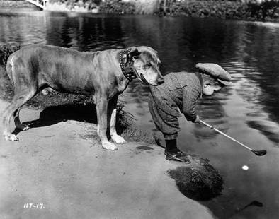 Helpful Dog ' By General Photographic Agency Oversized: Description ' Helpful Dog ' by General Photographic Agency Teddy the Dog holds onto child actor Jackie Lucas (1919 - 1983) by the tail of his golfing jacket as he tries to play a ball, which is