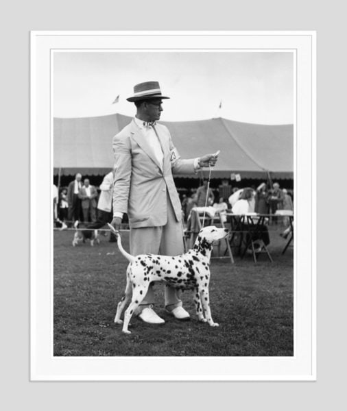 Slim Aarons 'Showing Off' 1955 Oversize White Frame Silver Gelatine Resin Print: Description Slim Aarons 'Showing Off' 1955 Oversize White Frame Silver Gelatine Resin Print 11th September 1955: An entrant at the Westchester Kennel Club’s 38th annual dog show holds the tail o