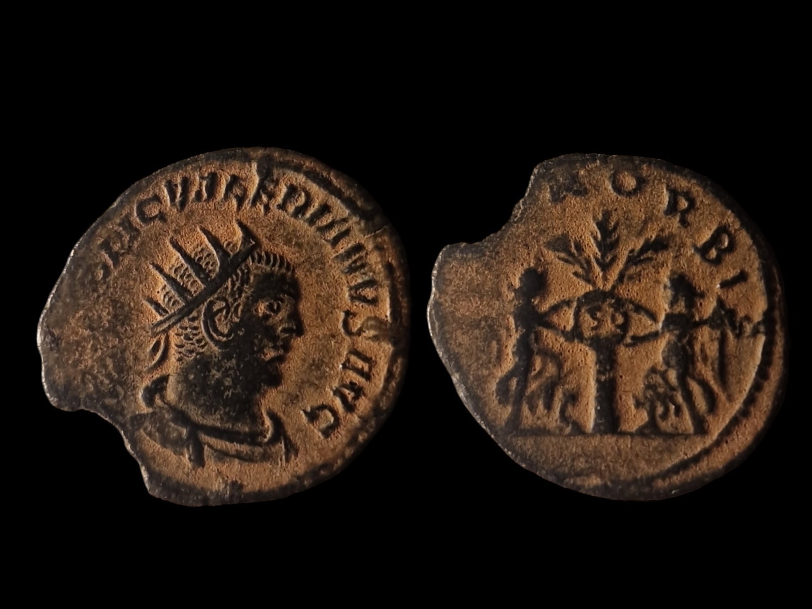 Roman Empire: Title: Roman Empire Description: Roman Empire Coin - Gallienus, 253-268 AD, Samosata Mint Obverse: Radiate bust of Emperor Gallienus facing right with the inscription around the edge. Reverse: Two fig