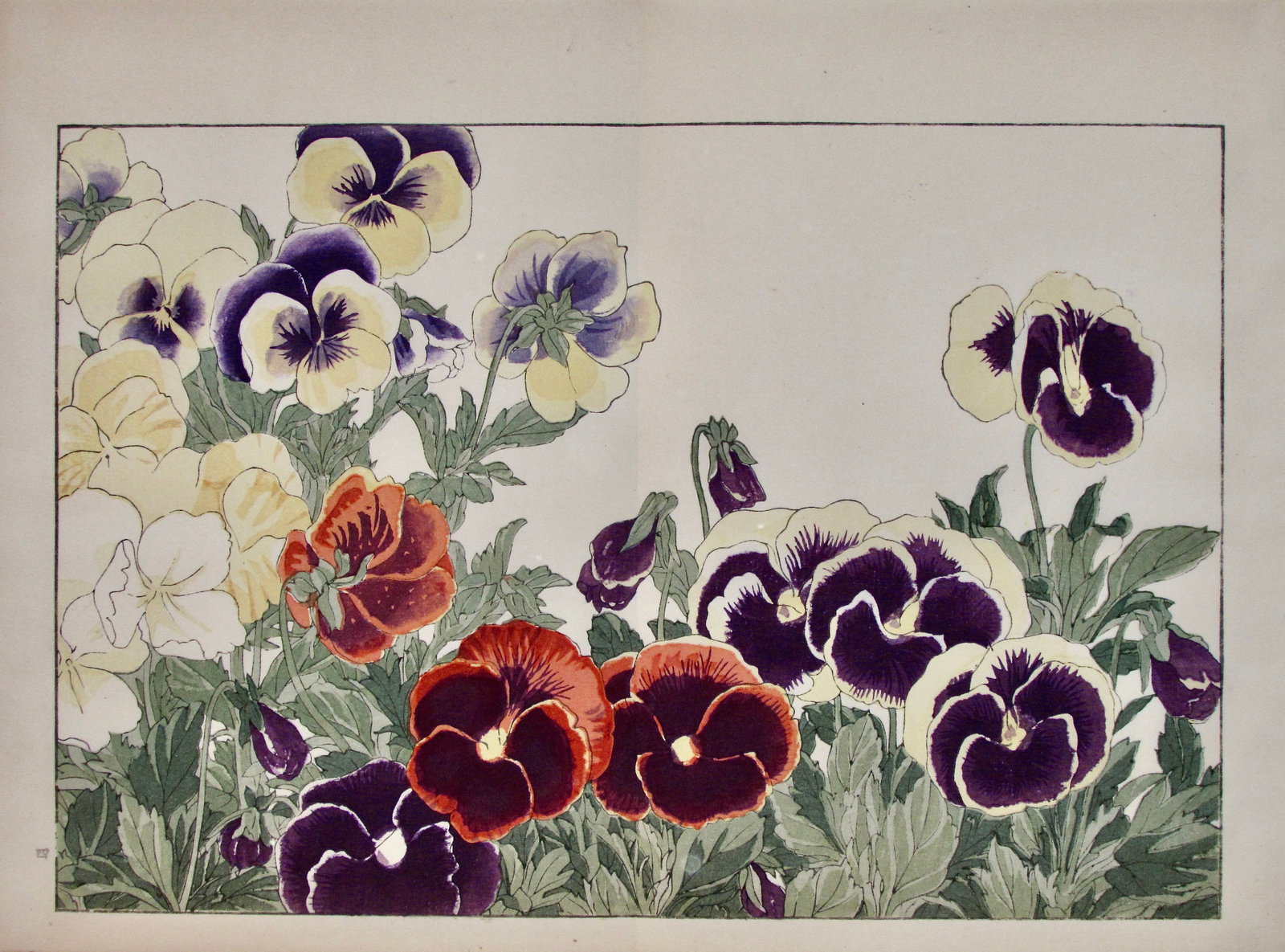 Tanigami Konan: Pansy (1 of 2)