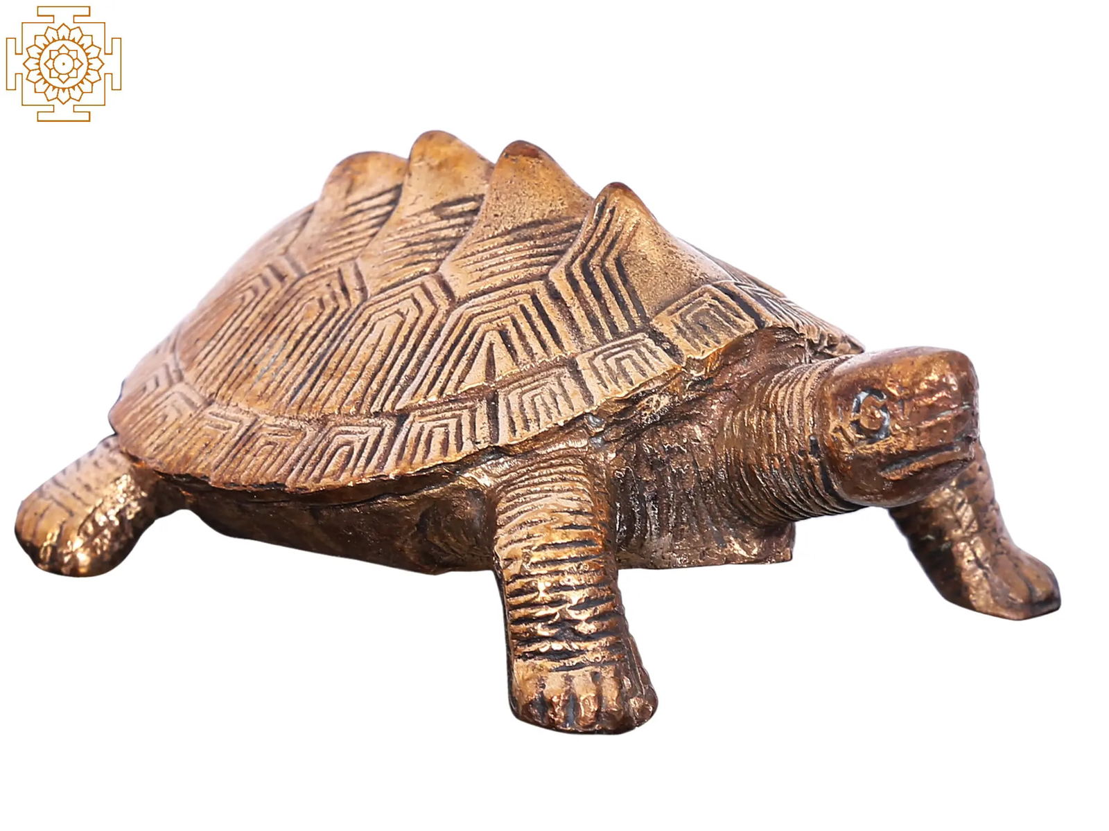 3'' Small Bronze Tortoise | Madhuchista Vidhana (Lost-Wax) | Panchaloha Bronze from Swamimalai (1 of 3)