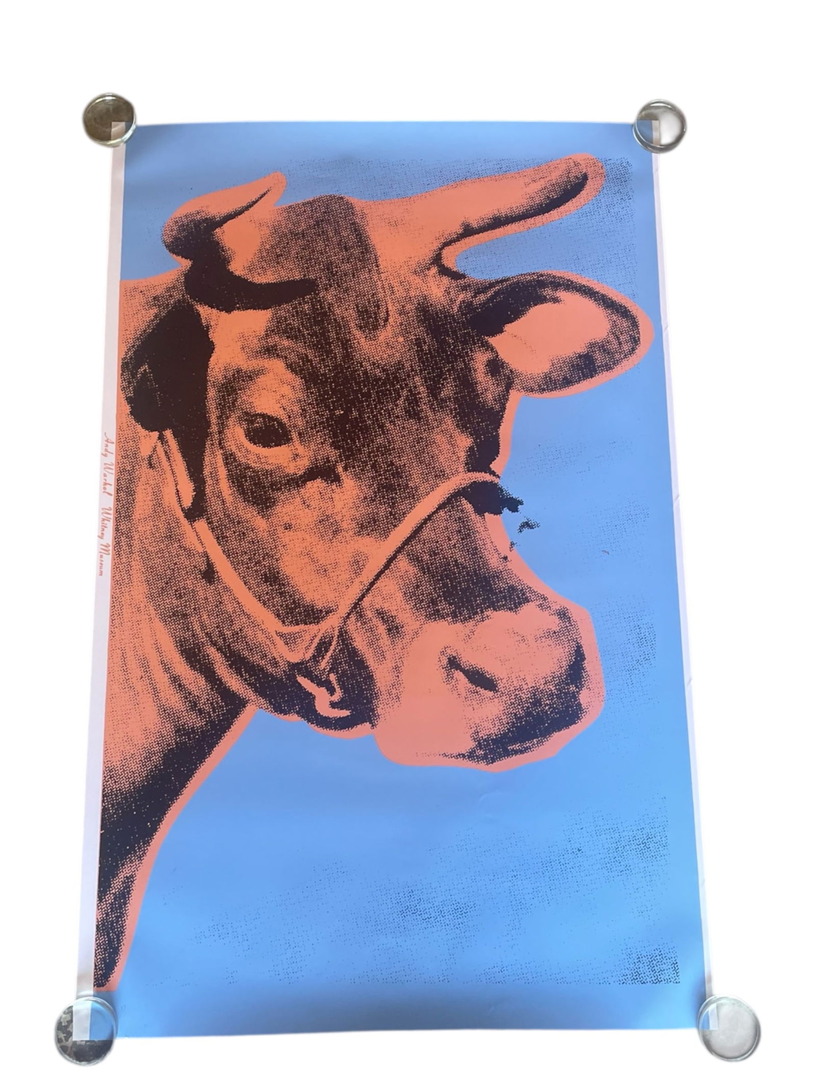 AFTER Andy Warhol 'Blue Cow' Wallpaper (1 of 1)