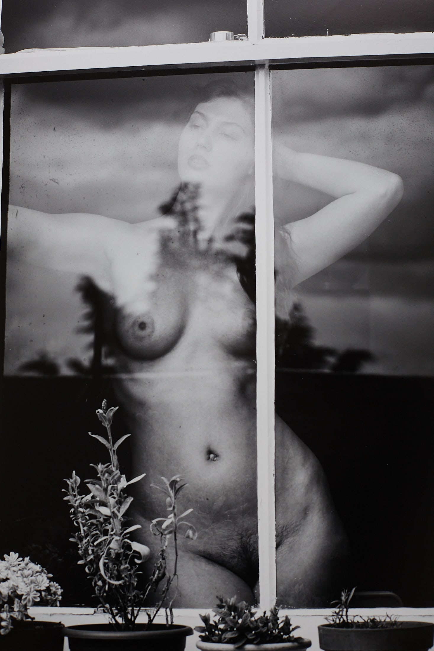 Spiros Politis: Window 2/25 - 3