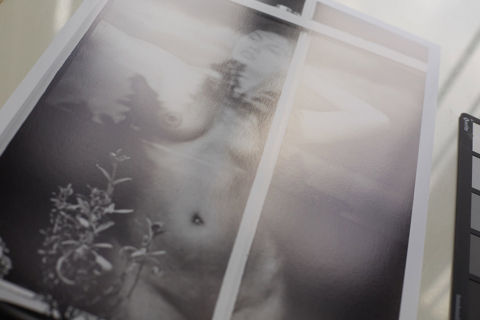 Spiros Politis: Window 2/25 - 7