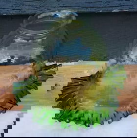 Rare green to clear oil gas lamp shade art fluted glass 2 1/2 fitter