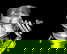item-207730556=12
