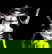 item-207730556=6