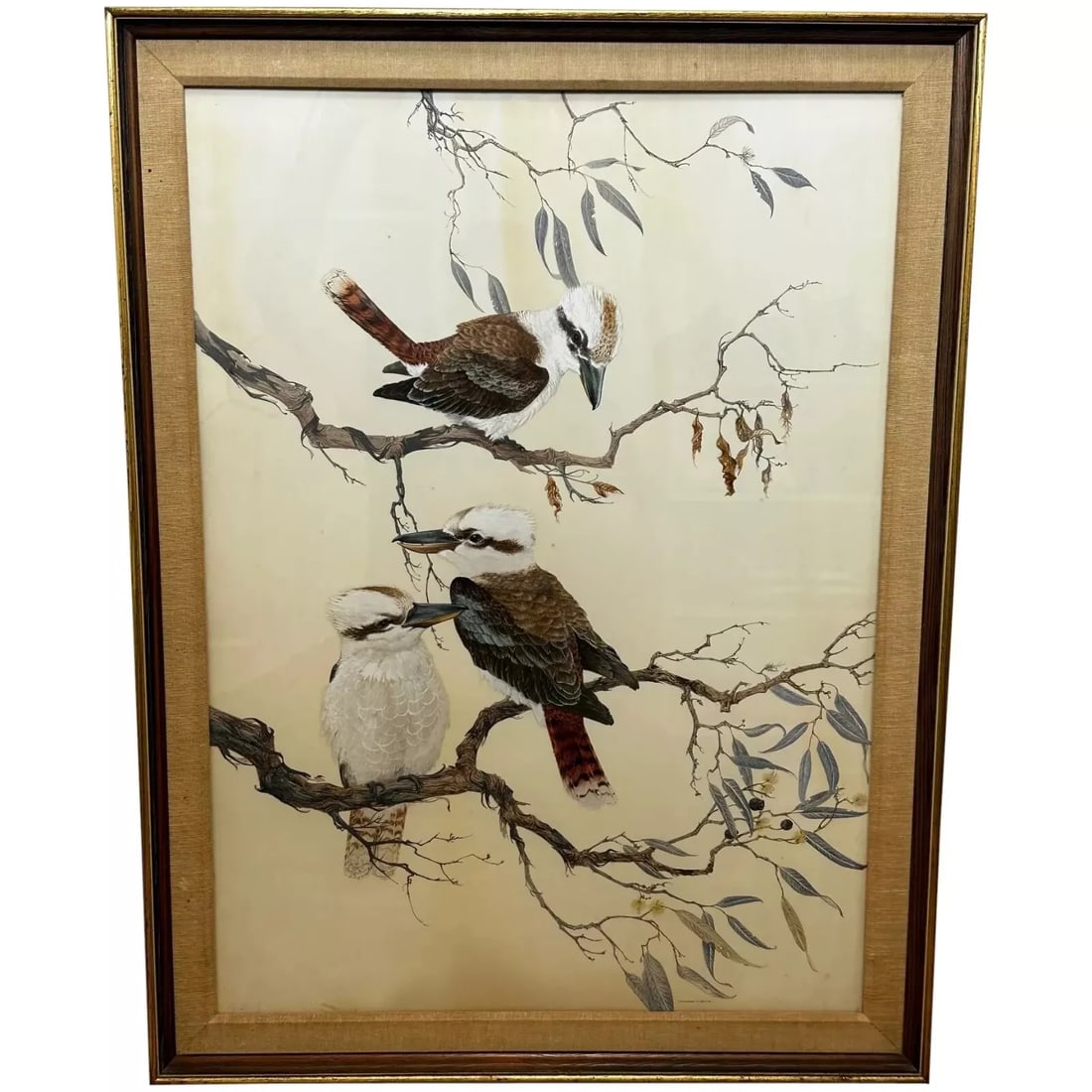 Large Australian Painting Group of Birds 3 Kookaburras In Bush by Robin Hill: Large Australian Painting Group of Birds 3 Kookaburras In Bush by Robin Hill ��‍⬛ Fine Large Australian Watercolour Painting — “Group of Birds 3 Kookaburras̶