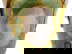 item-208014769=16