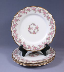 BRIDAL WREATH Rose Limoges France Bawo Dotter Elite Dinner Luncheon Plate 8 7/8"