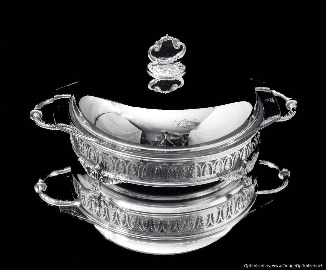 FRENCH - ANTIQUE 19TH CENTURY SILVER PLATE COVERED VEGATABLE SERVER - MUSEUM QUALITY !: Title: FRENCH - ANTIQUE 19TH CENTURY SILVER PLATE COVERED VEGATABLE SERVER - MUSEUM QUALITY ! Description:Direct from Paris, a Magnificent Silver Plated Covered Vegetable Server with Glass Interior, M