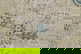 item-208405788=9