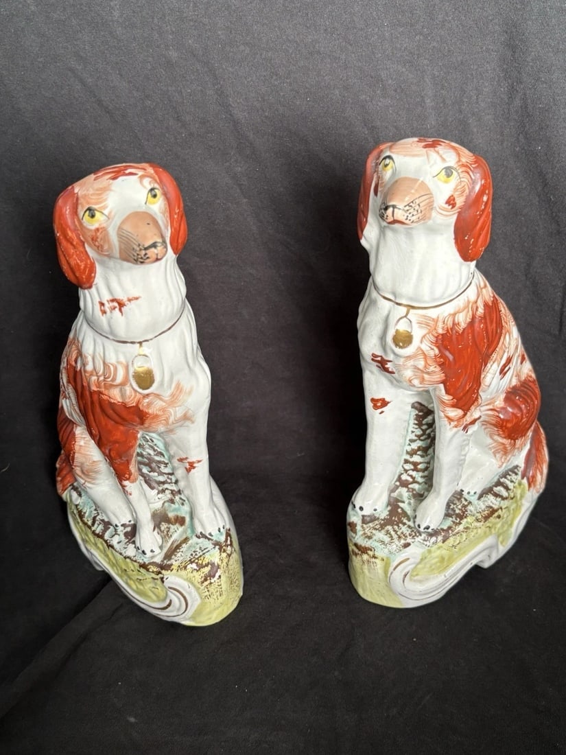 Pr Staffordshire Spaniel Dogs (1 of 9)