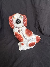 Staffordshire Spaniel Dog