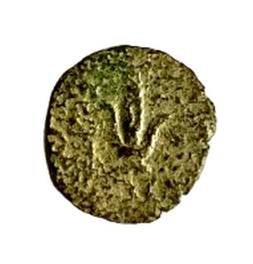 Ancient Judaea, John Hyrcanus I, 135–104 B.C.E., Bronze Prutah, Lily / Anchor (1 of 2)