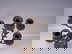 item-208448823=12