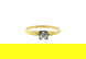 item-208484344=1